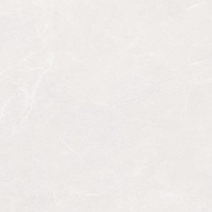 Regina-Silver-F1