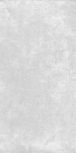 Alices Silver 60x120 F02