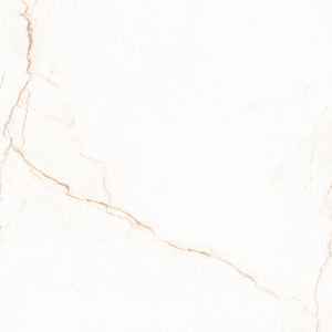 Carlotta White-T06