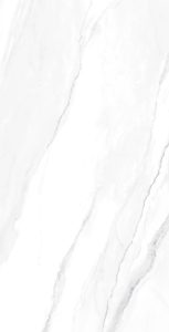 Geraldine Silver 60 x 120 - F1