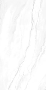 Geraldine Silver 60 x 120 - F3