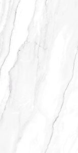 Geraldine Silver 60 x 120 - F5