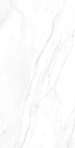 Geraldine Silver 60 x 120 - F6