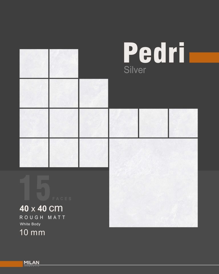 Pedri silver