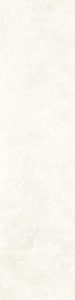 Nico Light Cream- F 00 (1)