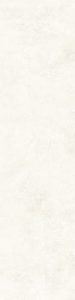 Nico Light Cream- F 00 (5)