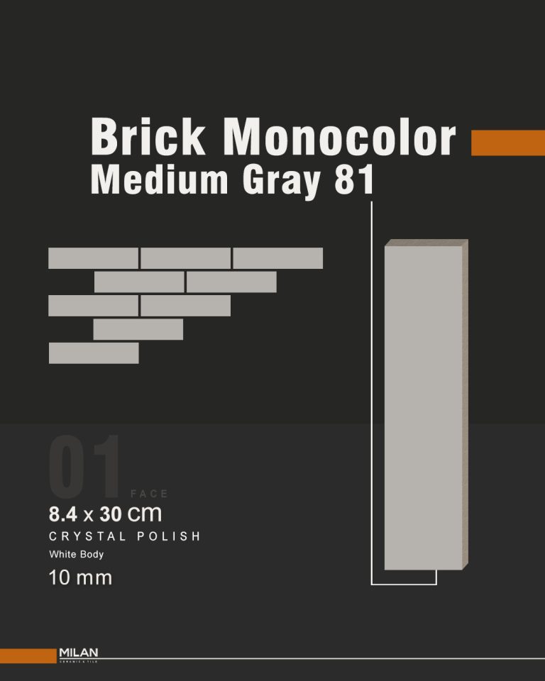 Brick Monocolor medium gray 81