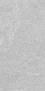 Regina-Gray - 60x120-F1