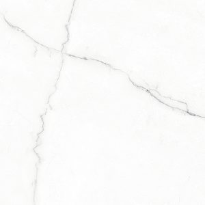 Carlotta Silver-T001