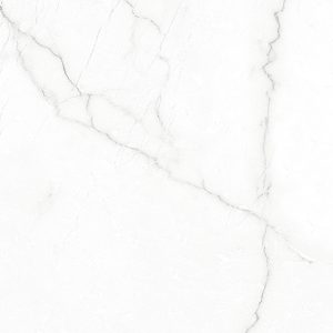 Carlotta Silver-T005